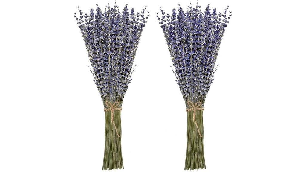 dried lavender bundles pack