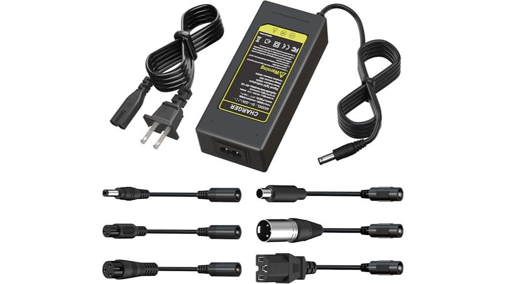 fast charger for lithium