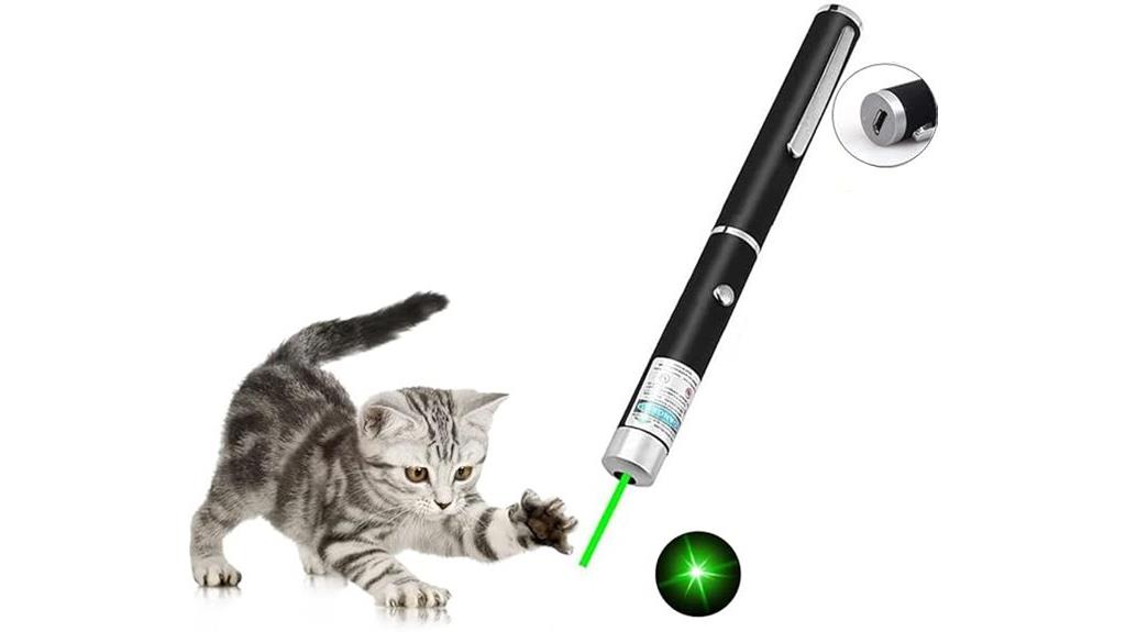 interactive rechargeable cat toy