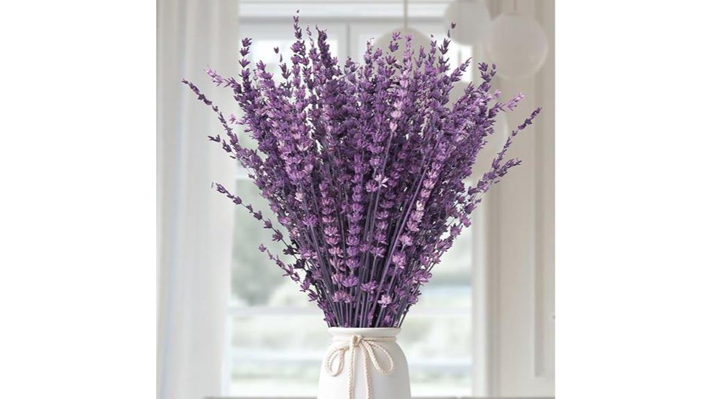 lavender flowers for aromatherapy