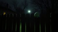 mysterious extraterrestrial beings encounter