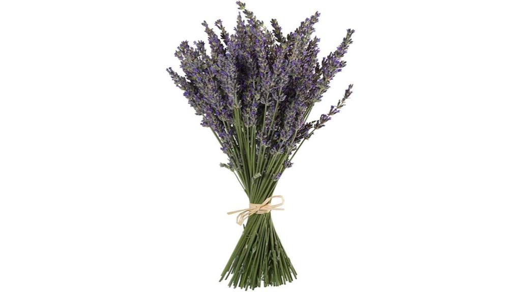 natural lavender bundle collection