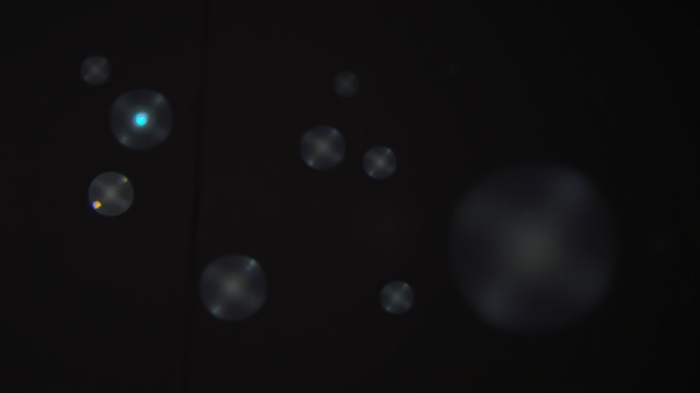 dust particles and lens flaws
