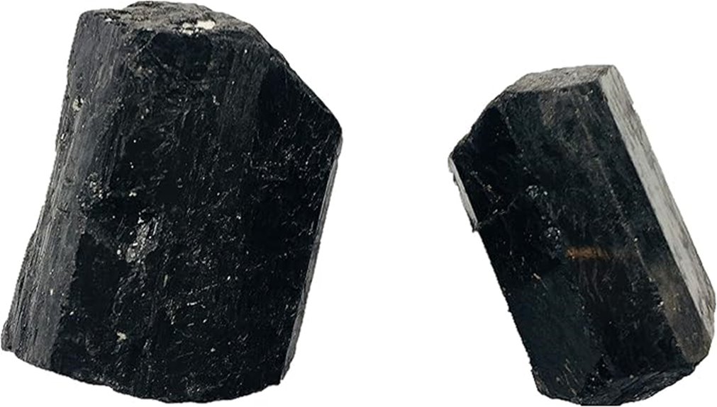 two black tourmaline crystals