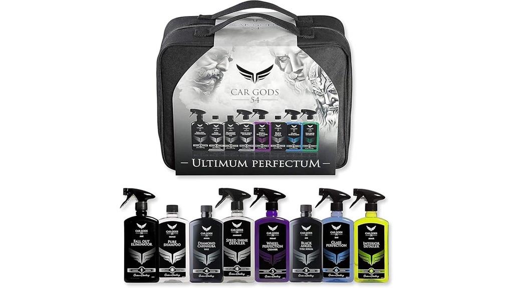 complete car cleaning kit