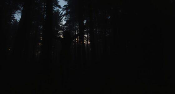 ethereal shadow figures explained