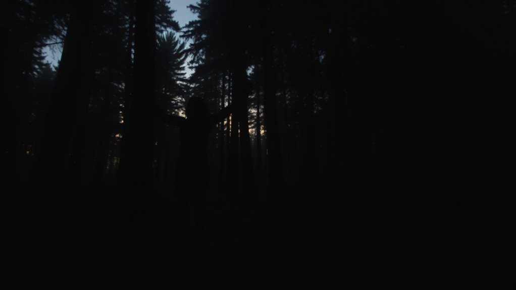 ethereal shadow figures explained