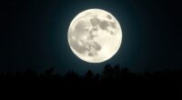 full moons and increased activity