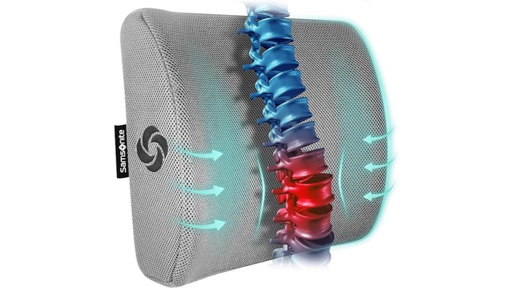 lumbar support for various seats