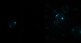 orbs as ghost evidence