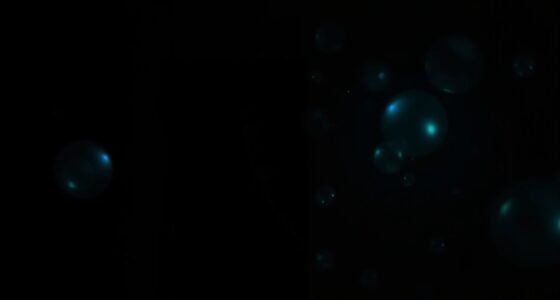 orbs as ghost evidence