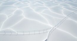 salt barriers and defenses