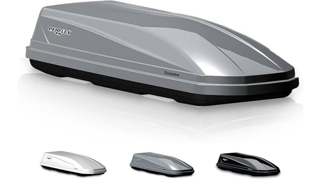 silver rooftop cargo box