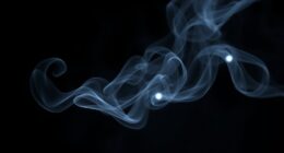 spirits scents yes or no