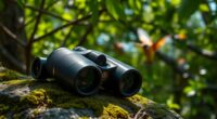 top bird watching binoculars