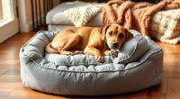 top orthopedic dog pillows