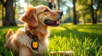 top pet gps trackers