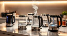 top electric kettles with precise temperature control