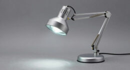6 Best Premium Magnifying Lamp for Archive Work in 2026