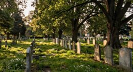 cemeteries lack activity