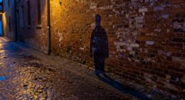 not all shadows are evil