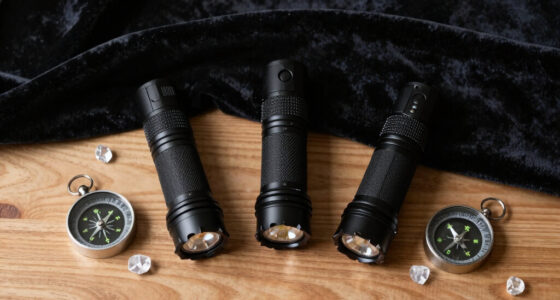 10 Best Paranormal Investigation Flashlights in 2026