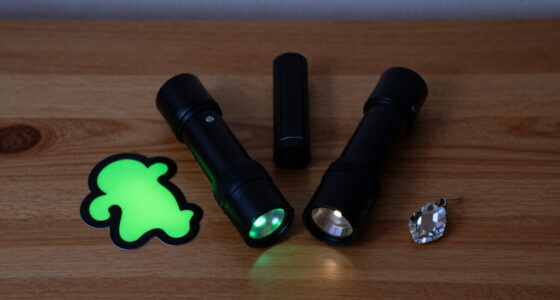 15 Best Blacklight Flashlights in 2026