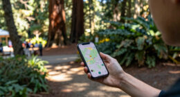 Bohemian Grove, California, United States Surges In Global Coverage
