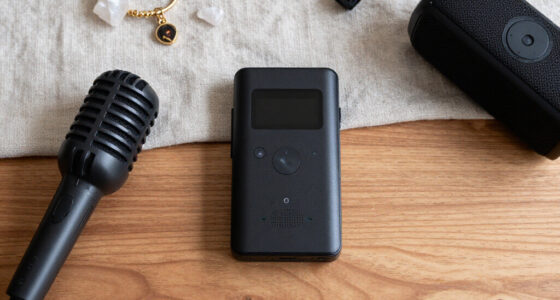 14 Best Electronic Voice Phenomenon Recorders in 2026