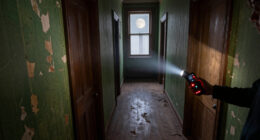 12 Best Ghost Hunting EMF Meters for Accuracy and Portability in 2027